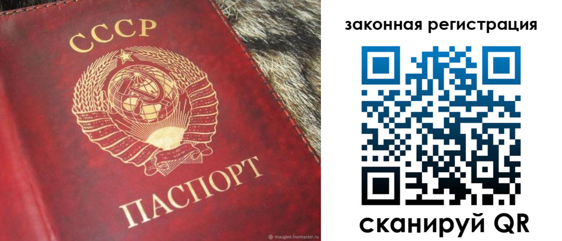прописка от собственника в Красногорске